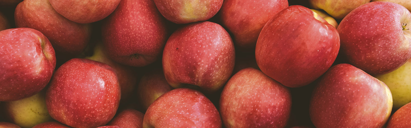 Columbia Fruit Packers