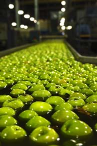 Apples in washer