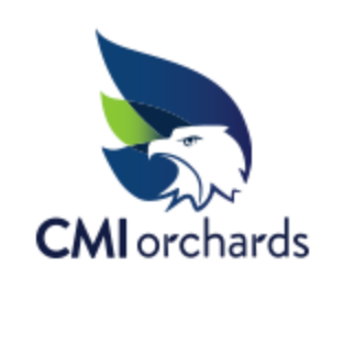 CMI